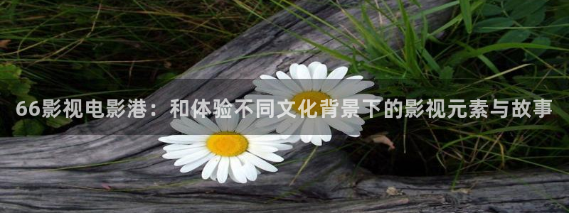 双面胶电视免费观看西瓜