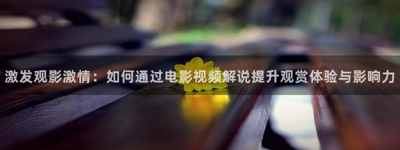 西瓜网影视