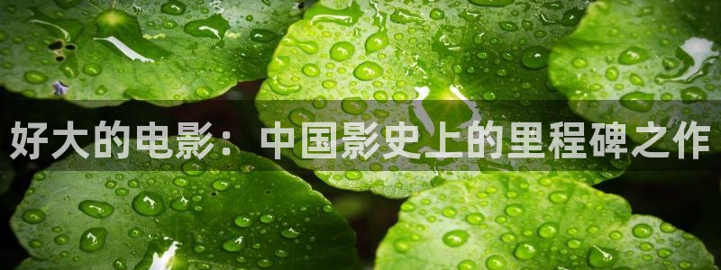 大西瓜影院
