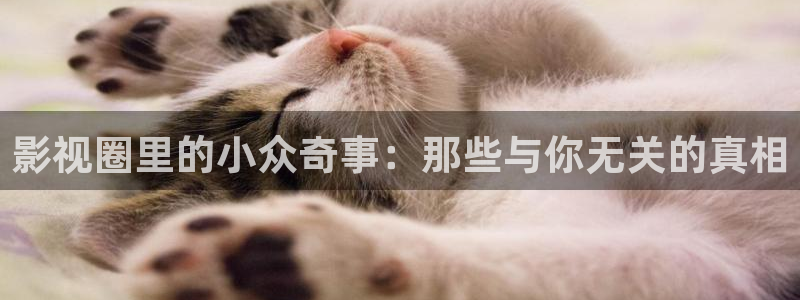 小风暴之时间的玫瑰免费观看西瓜