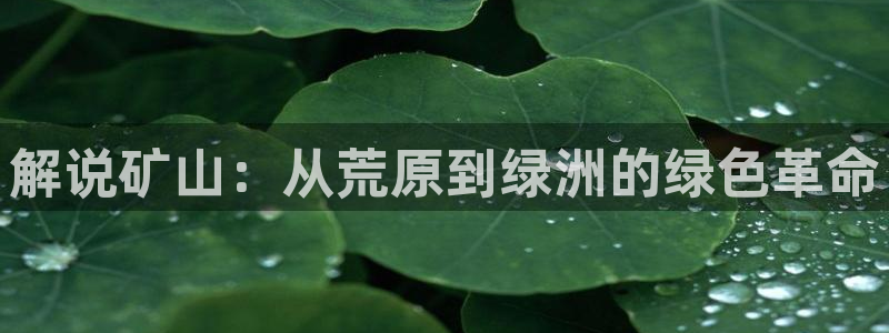 爱恋西瓜影院