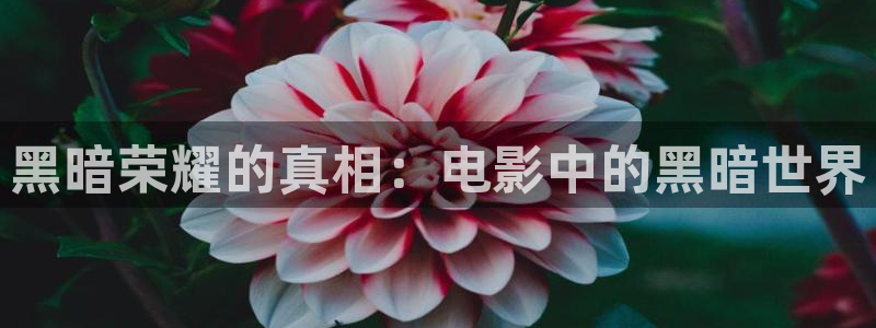 西瓜妹妹在线看免费观看电视剧大全