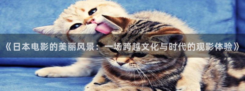 西瓜牌