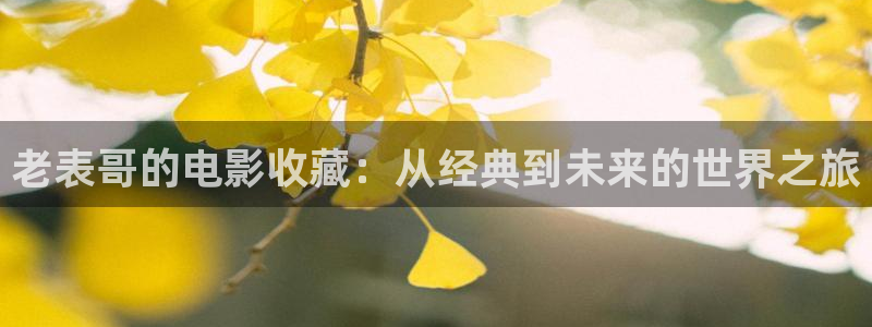 舍我其谁免费观看西瓜