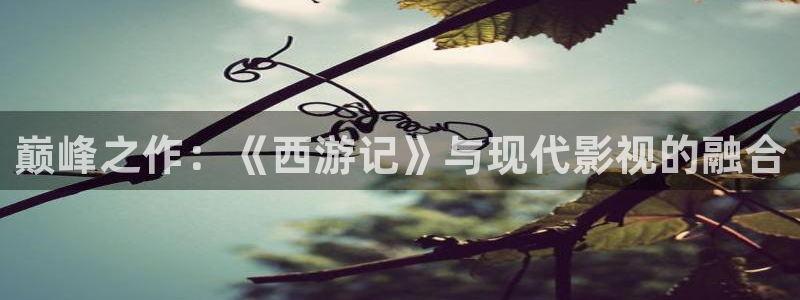 西瓜视频入口