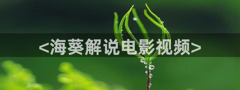 西瓜影院全职高手免费观看