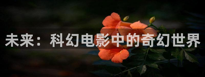 神马飘雪免费观看电视剧西瓜影院