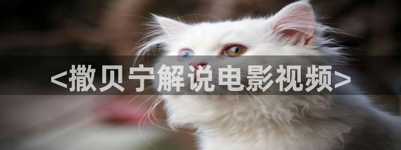 西瓜影院在线观看电视剧