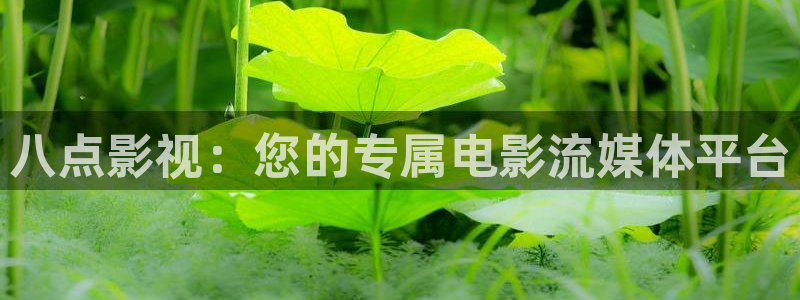 我是刑警免费观看西瓜