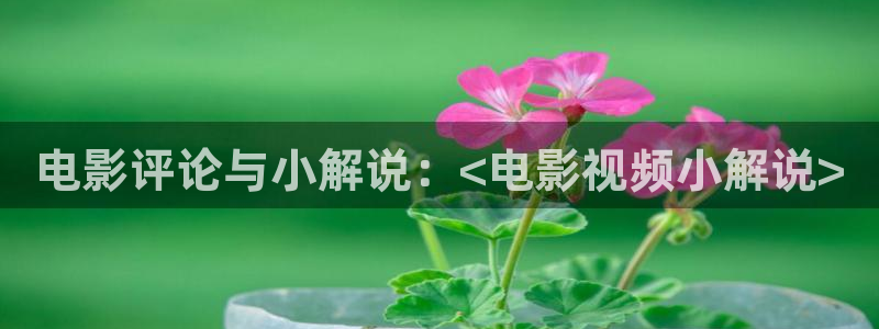 单亲妈妈电视剧全集免费观看西瓜