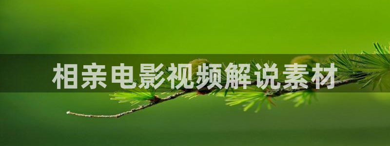 新闻图片