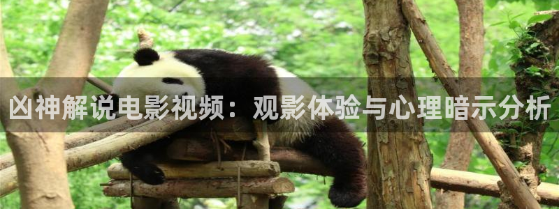 西瓜影院看剧