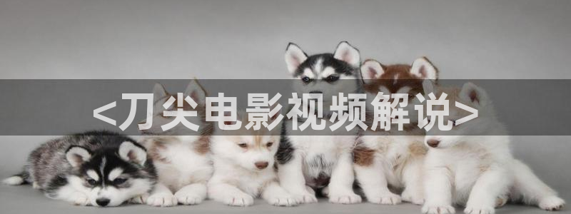 西瓜影视在线观看免费
