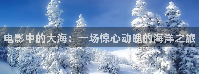 西瓜视步