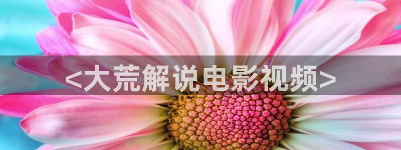 最好的我们免费观看全集西瓜