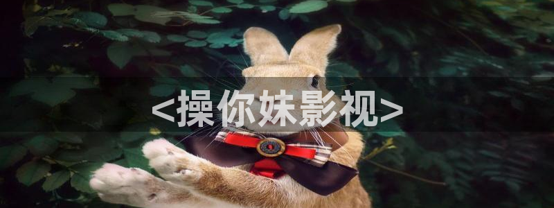 与君初相识免费观看完整版西瓜