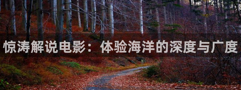 西瓜理论影院