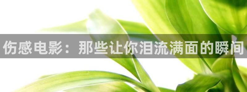 西瓜免费小